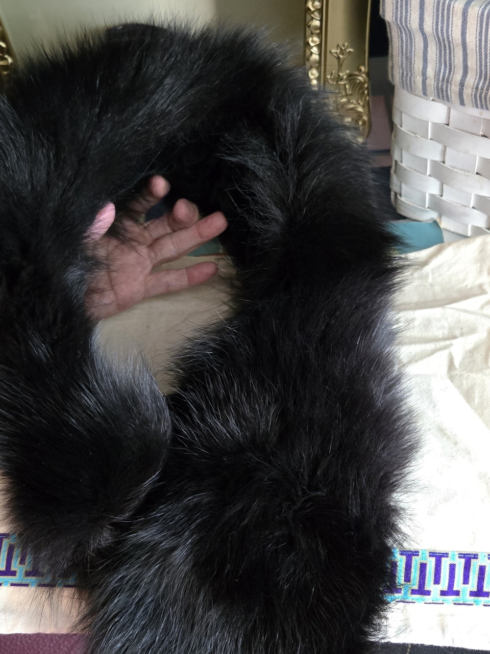 S5A Saks Fifth Avenue Lux Genuine Fox Fur Collar in Black - Picture 6 of 6